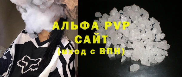 СК Алексин