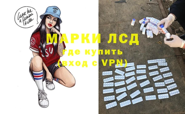 СК Алексин