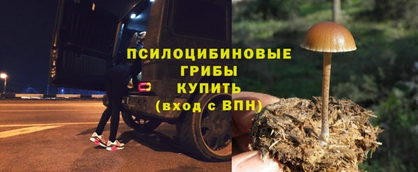 круглые Гусев