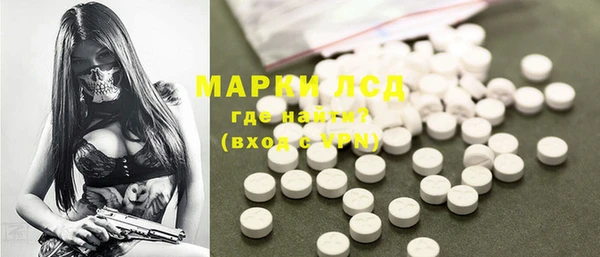 СК Алексин