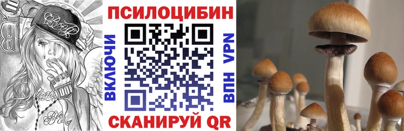 OMG онион  сколько стоит  Анива  Галлюциногенные грибы Psilocybe 
